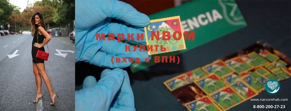 индика Арсеньев