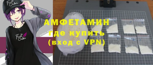индика Арсеньев