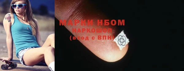 индика Арсеньев
