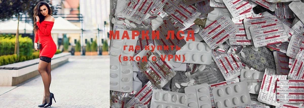 индика Арсеньев