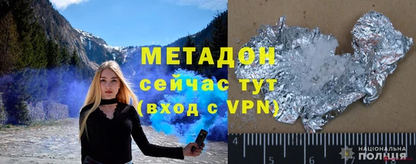 индика Арсеньев