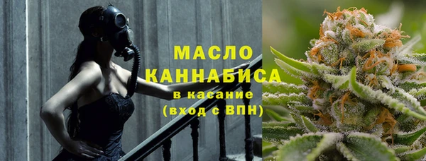 индика Арсеньев
