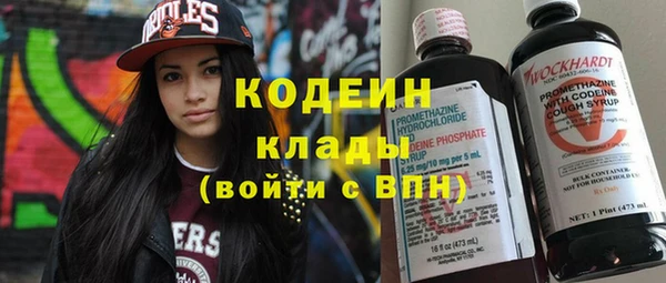 индика Арсеньев