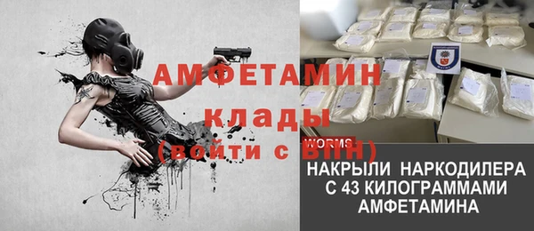 амф Тайга